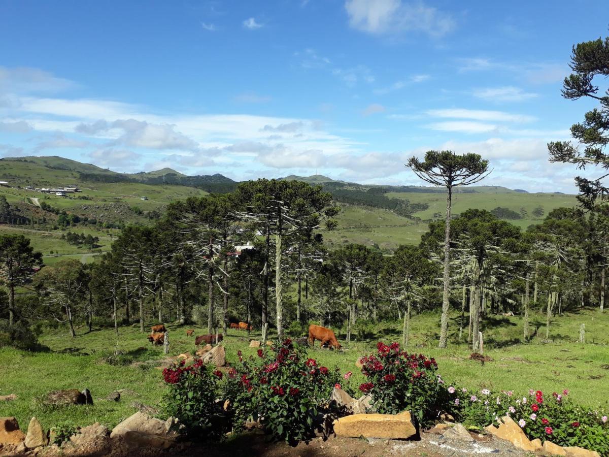 Pousada Chales Aconchego Serrano Bom Jardim da Serra Exteriör bild