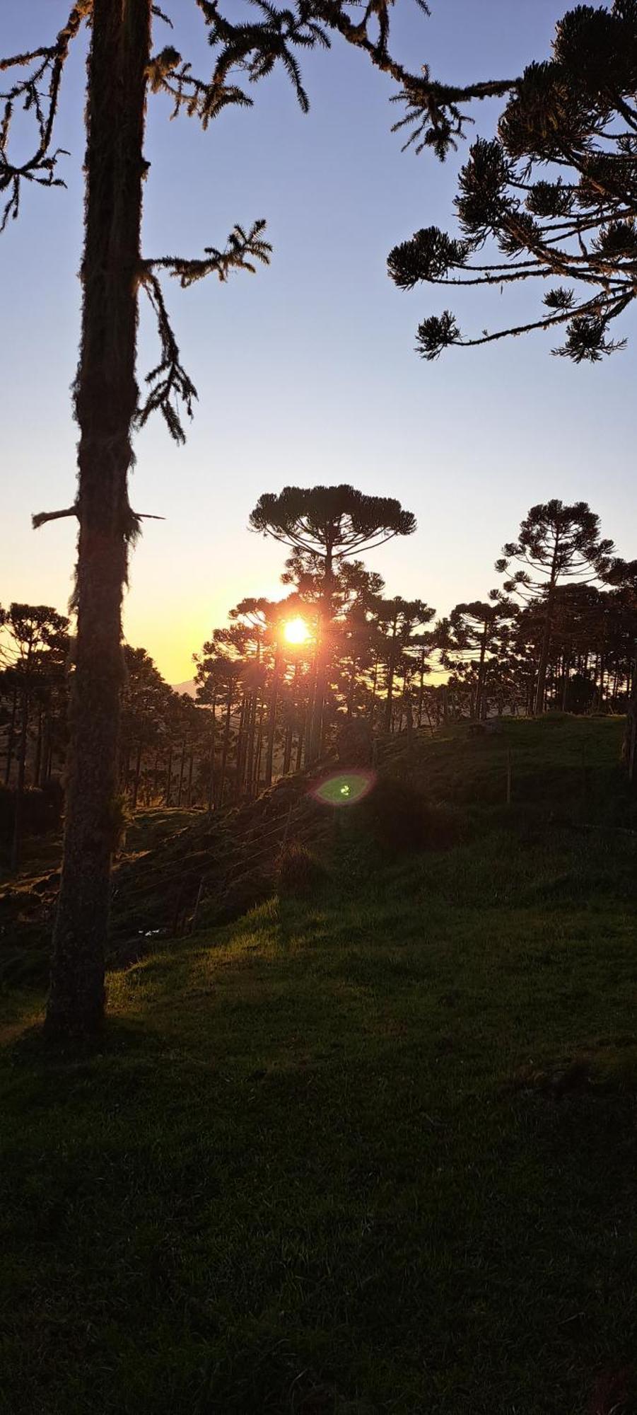 Pousada Chales Aconchego Serrano Bom Jardim da Serra Exteriör bild