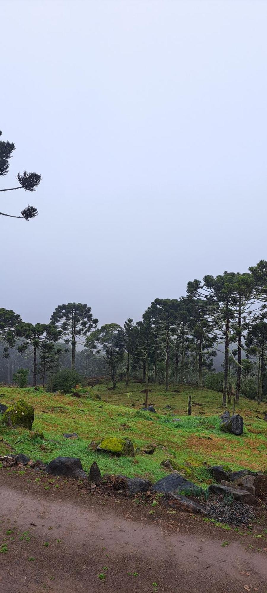 Pousada Chales Aconchego Serrano Bom Jardim da Serra Exteriör bild